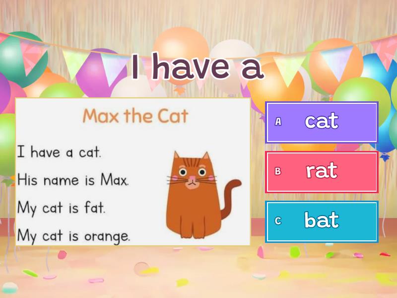 Max the Cat - Quiz