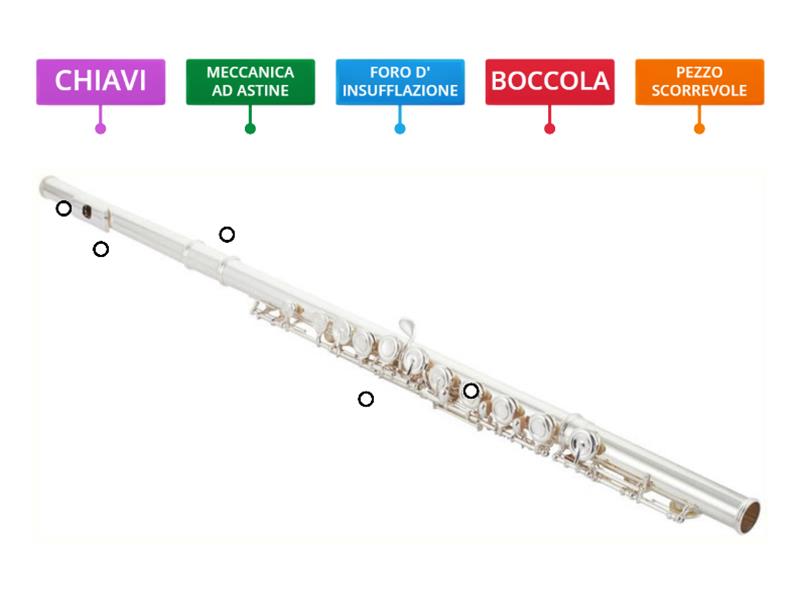 MUSICA: LE PARTI DEL FLAUTO TRAVERSO - Labelled diagram