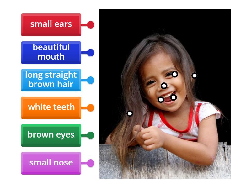Face parts Labelled diagram