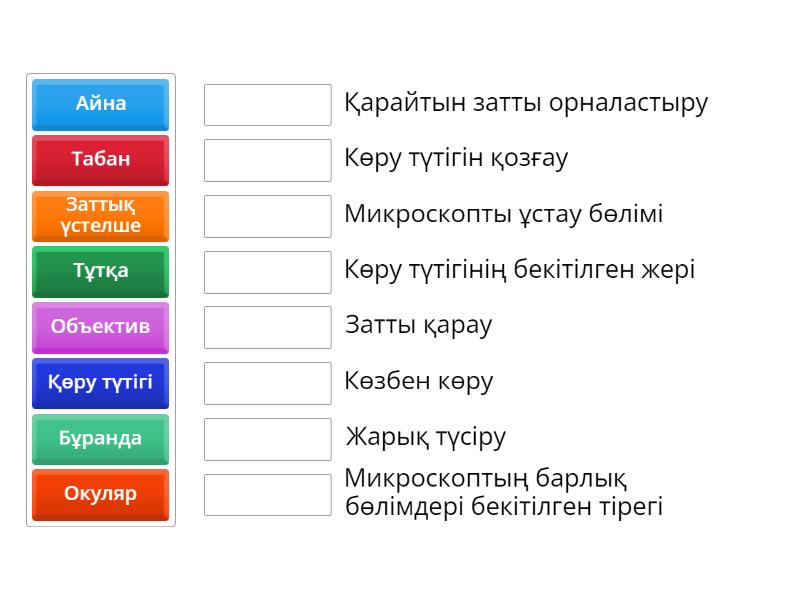 Жұбын тап! - Match up