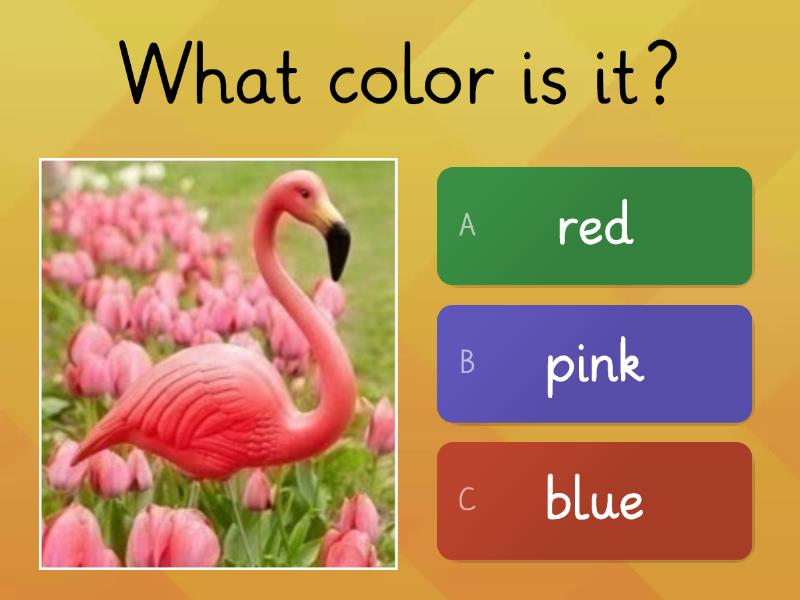 Colors quiz