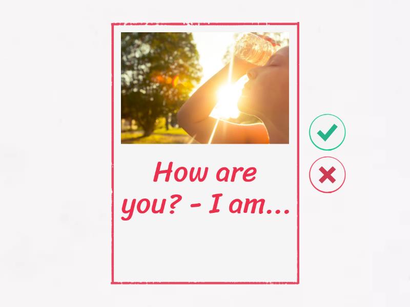 How is he/she? - Flash cards