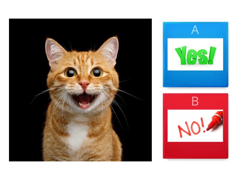 Short Vowel Aa - Quiz