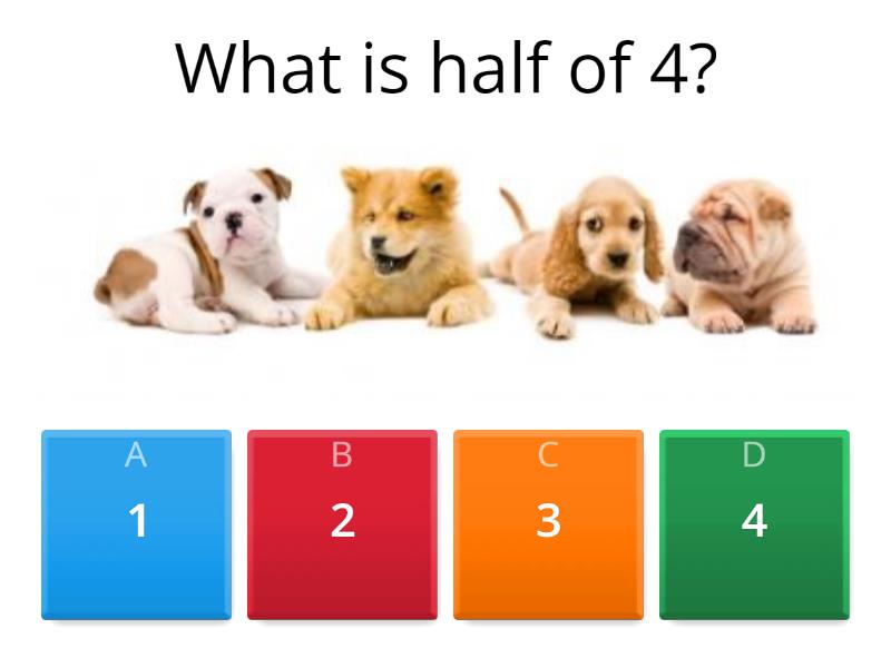 fractions-half-quiz