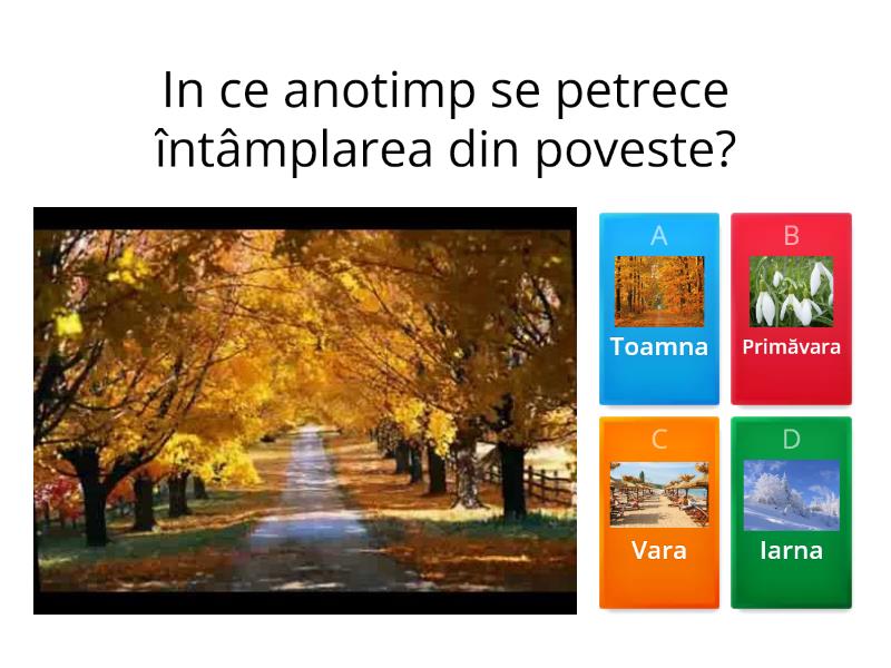 Unde A Zburat Rândunica? - Quiz