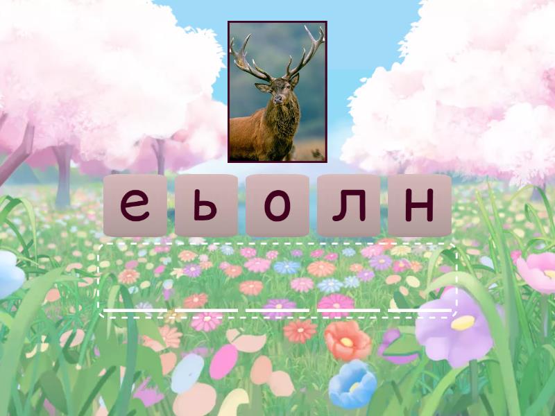 Звірі України - Anagram
