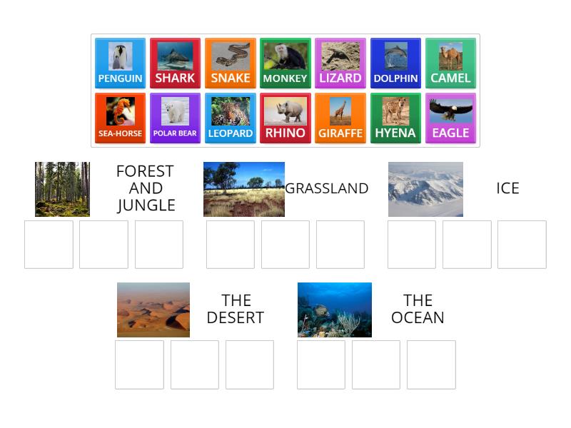 ANIMALS AND HABITATS - Group sort