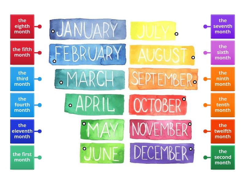 ORDINAL NUMBERS / MONTHS - Labelled diagram