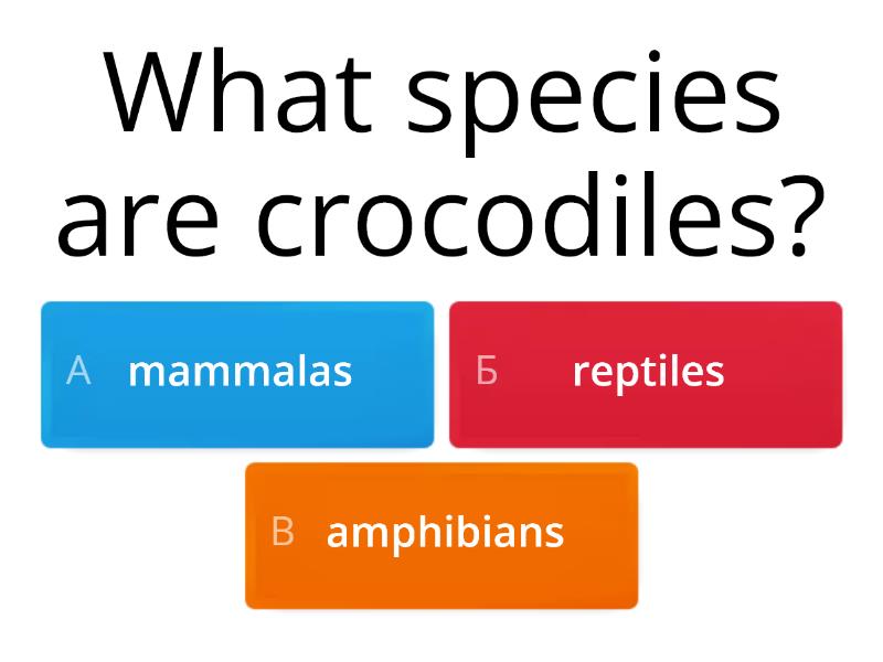 the sound of a crocodile is croak true or false