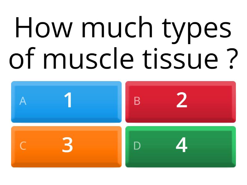 muscular-system-quiz