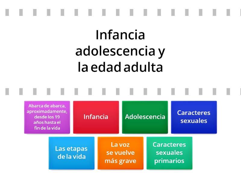 Las Etapas De La Vida Y Los Caracteres Sexuales العثور على العنصر