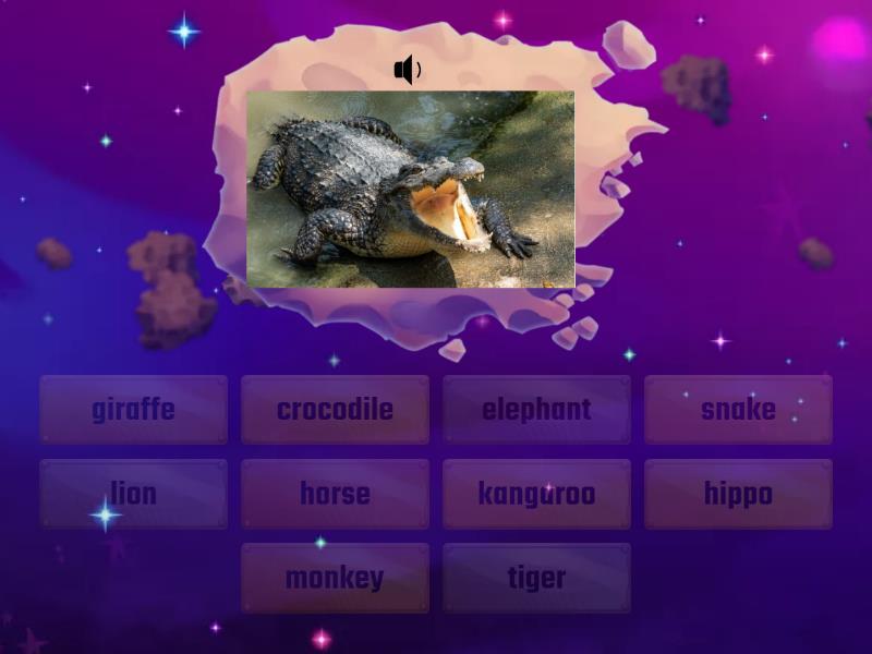 Kids Box 1 Unit 7 Wild animals - Find the match