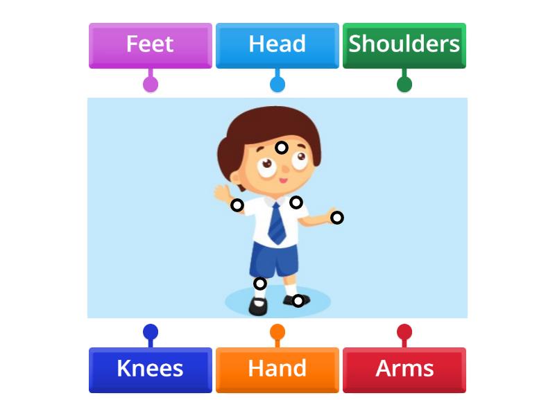 body-parts-in-english-labelled-diagram