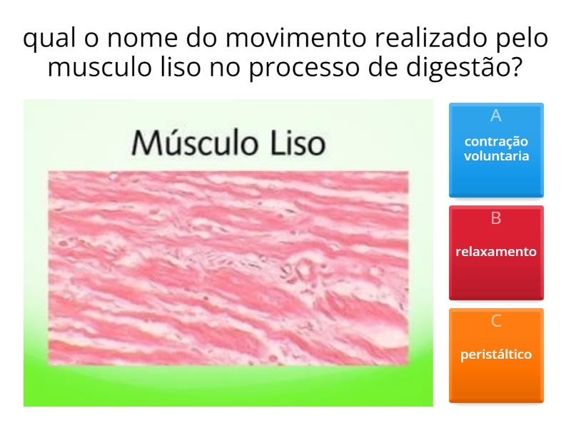 Sistema muscular- Músculo liso - Quiz