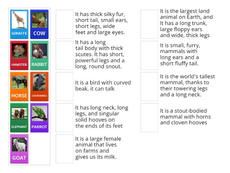 description ANIMALS - Match up