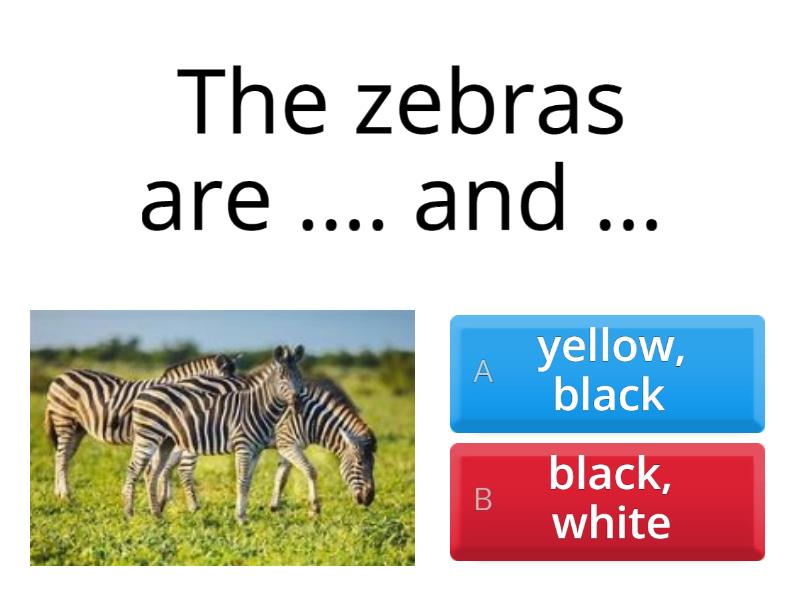 zoo adjective or noun