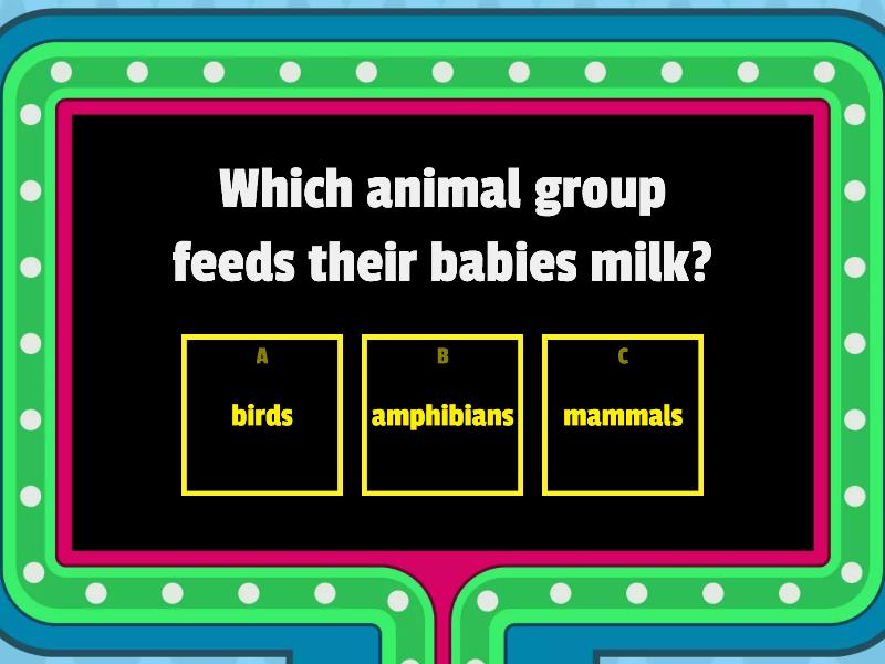 Animal Groups - Gameshow Quiz