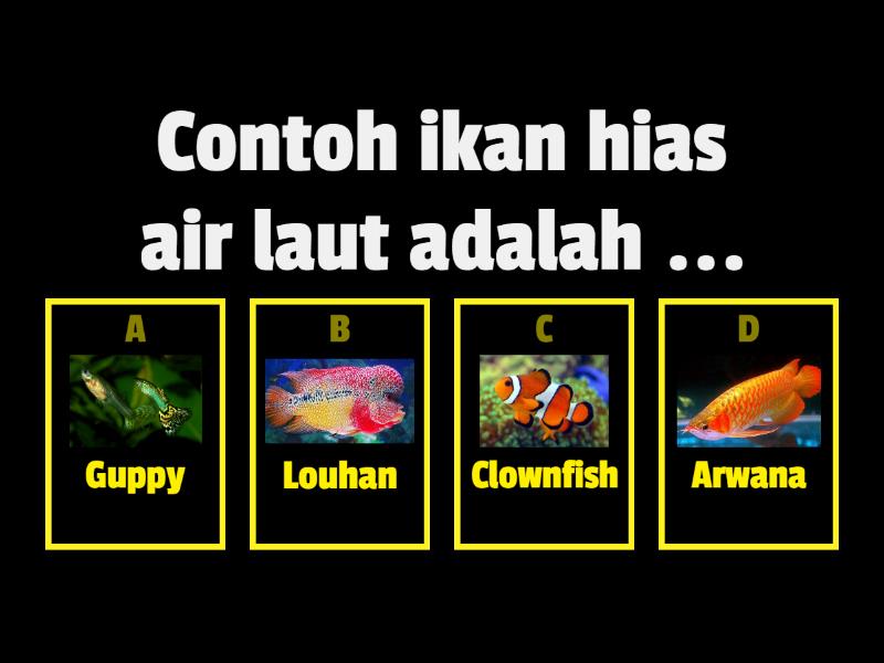 Budidaya Ikan Hias - Prakarya 9 - Quiz