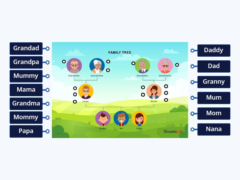 Family petnames: Labelling activity - Labelled diagram