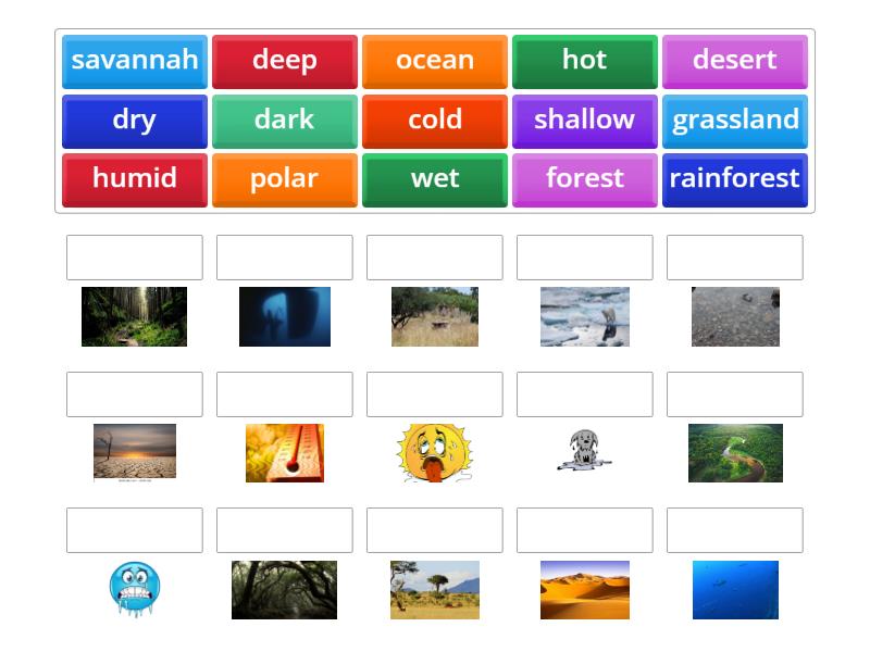 Habitats & Vocabulary to describe habitats - Match up