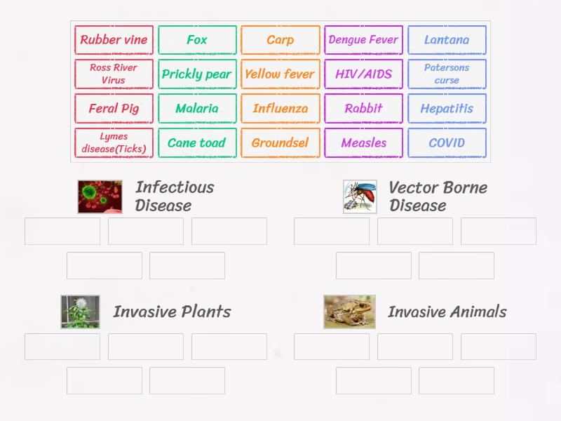 What is an ecological hazard? Group sort