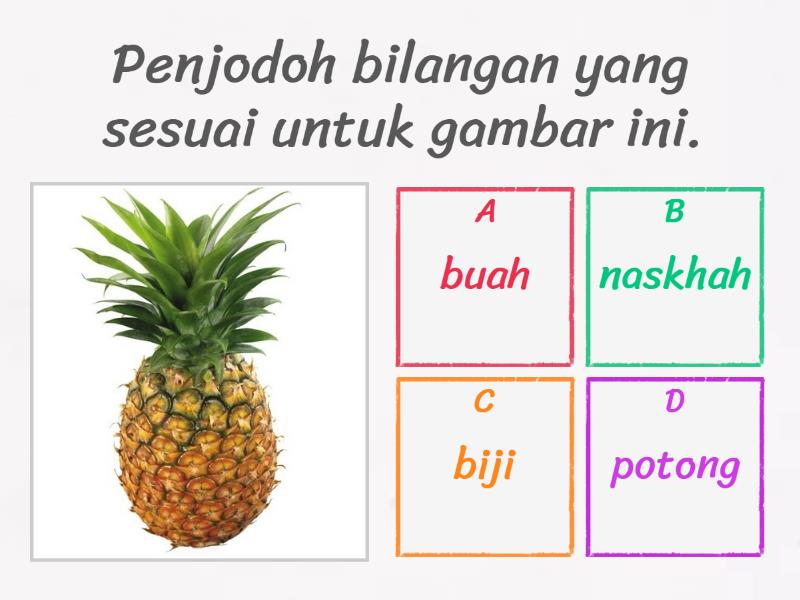 Bahasa Melayu Tahun 4 : Penjodoh Bilangan - Quiz