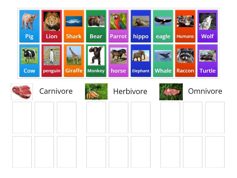 Carnivore, herbivore, or omnivore? - Group sort