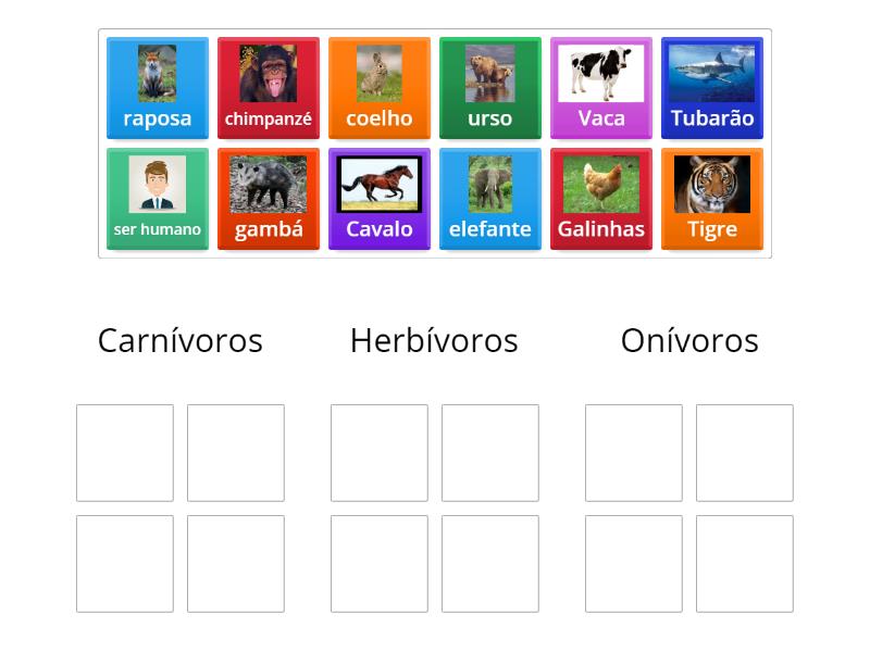 Peixes Carnívoros, Herbívoros E Onívoros: Intestino – OYOC