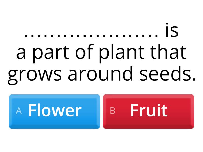 Grade 1Chapter 2&3 Quiz