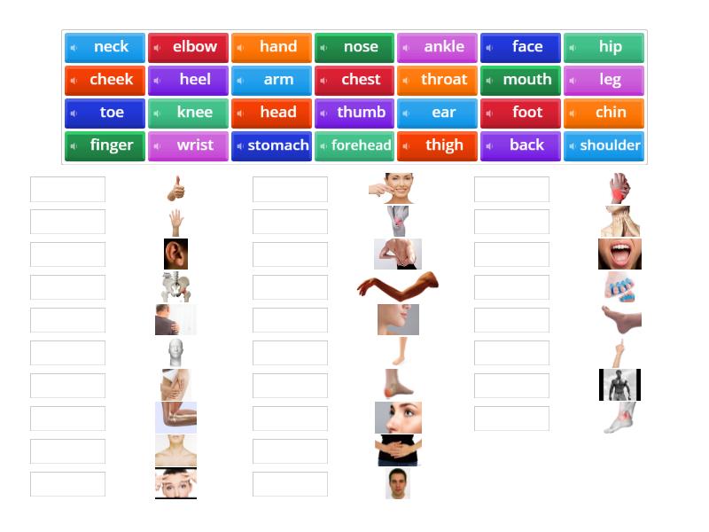 Gateway Ttw B1 Unit 4 Body Parts - Match Up