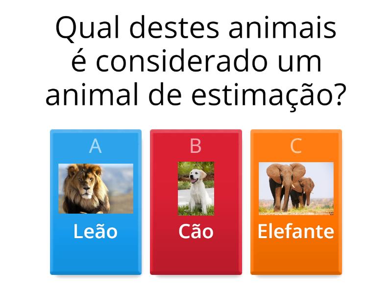 Animais Domésticos E Animais Selvagens - Questionário