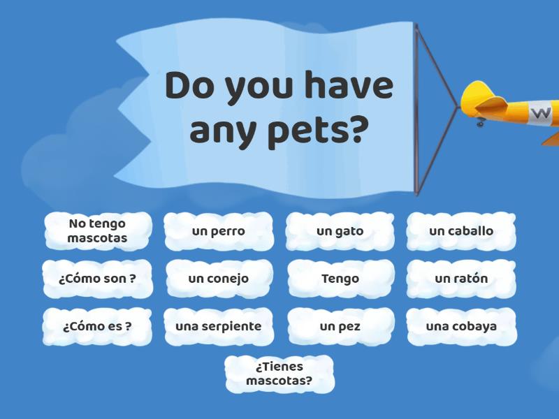 pets-find-the-match