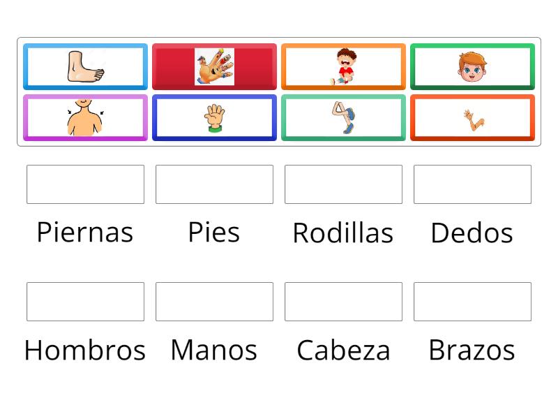 Partes Del Cuerpo Match Up