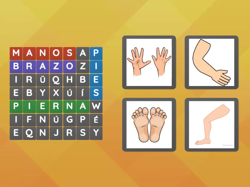 Sopa de letras - Partes del cuerpo - Wordsearch