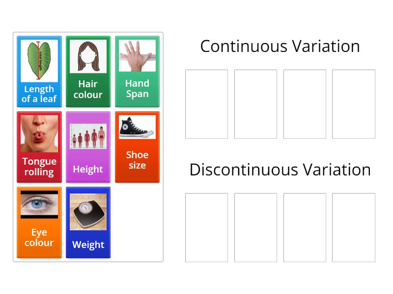 continuous-and-discontinuous-variation-group-sort