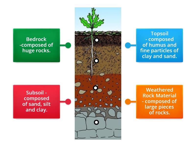 Soil Profile - Labelled diagram