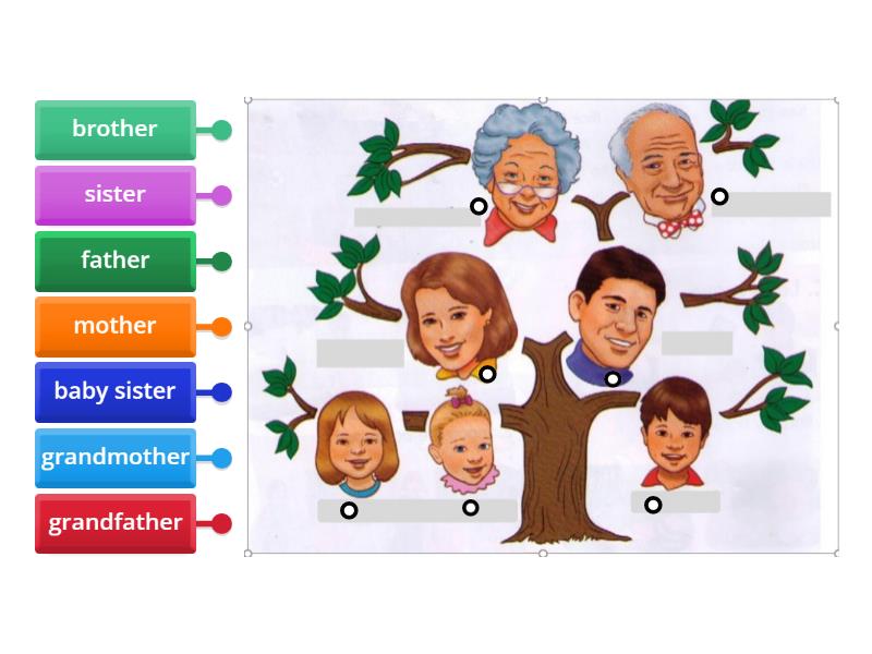 family - Labelled diagram