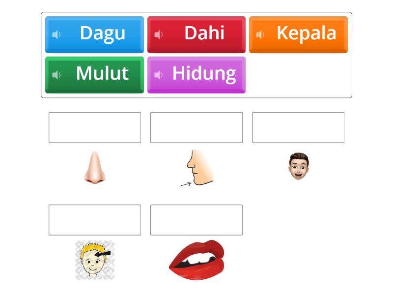 Padankan perkataan dengan gambar ( Bahagian kepala) - Match up