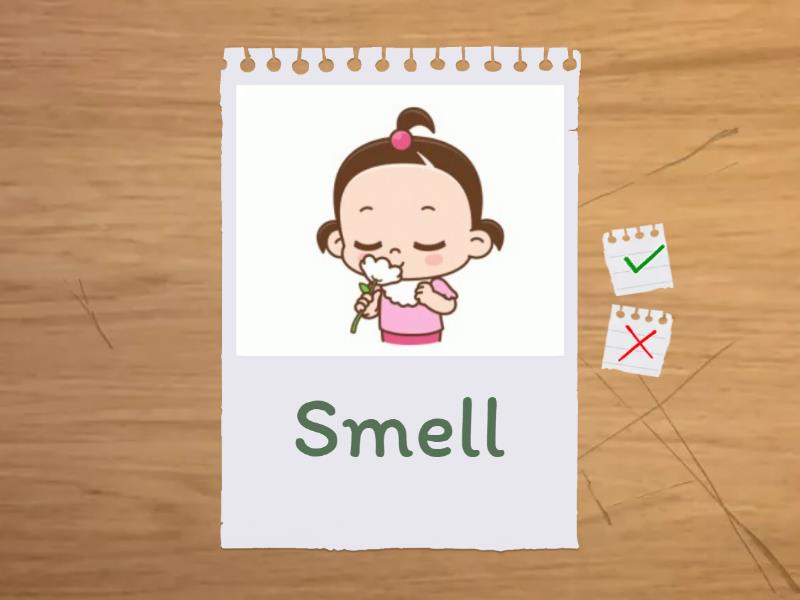 Irregular verbs 2nd form part 3 Flash cards