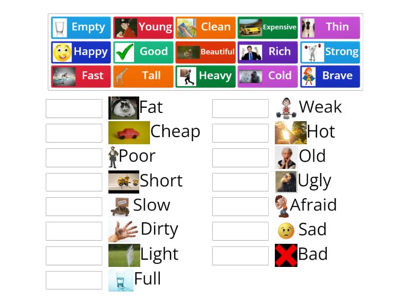 Adjectives - Match up