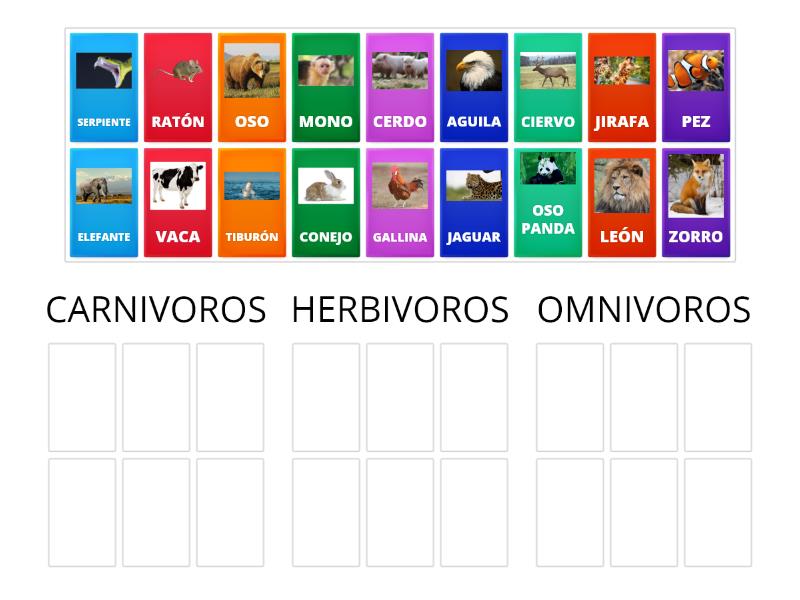 CLASIFICACIÓN CARNÍVOROS, HERBÍVOROS Y OMNÍVOROS - Group sort