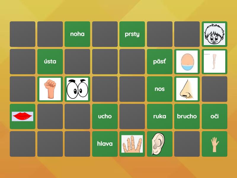 Ľudské telo - Matching pairs