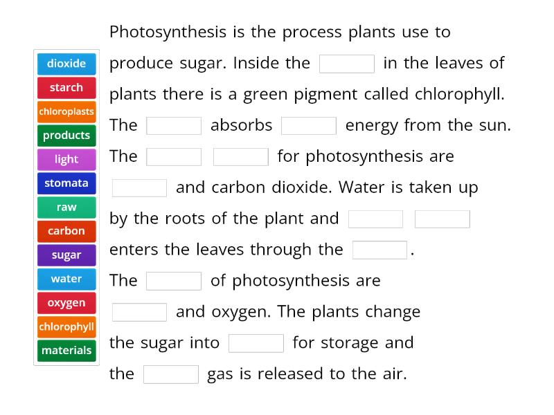 Photosynthesis - Complete the sentence