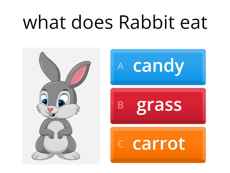 what-does-animals-eat-quiz