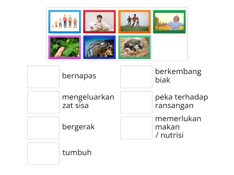 Ciri ciri makhluk hidup - Match up