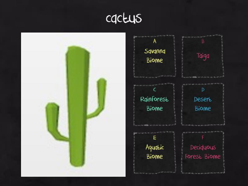 Biomes Animal Sorting Activity - Quiz
