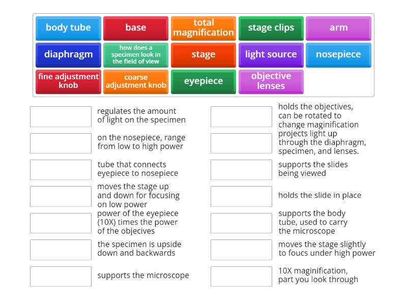 microscope vocabulary - Match up