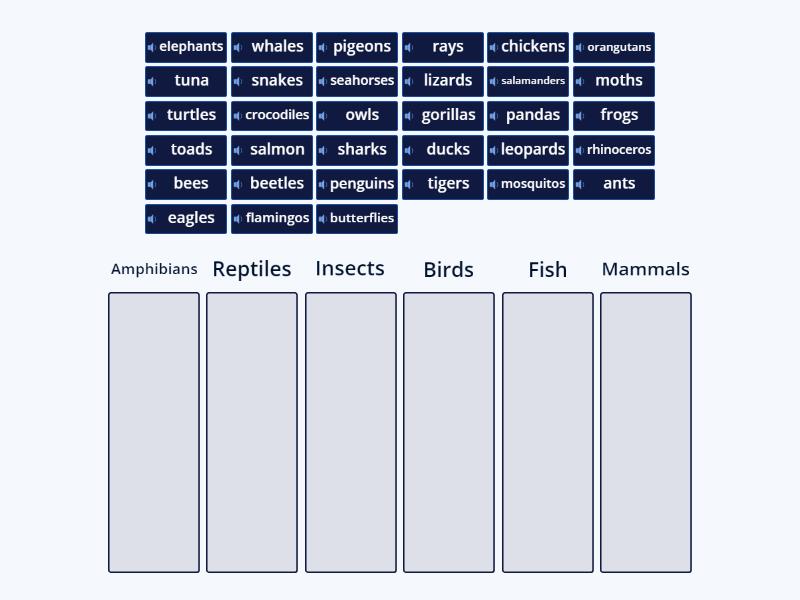 VOCABULARY: Types of Animals - Group sort