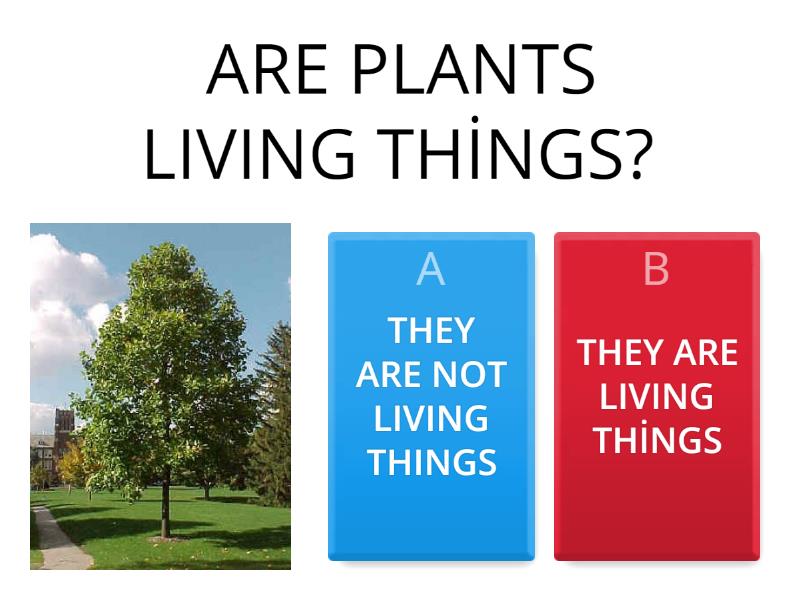 PLANTS ARE LIVING THINGS Quiz