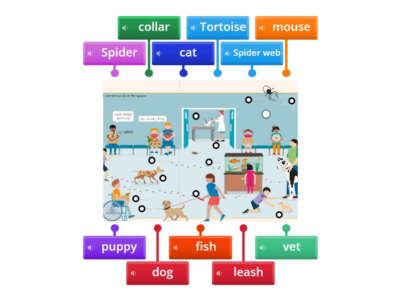 At the vet/ our pets - Labelled diagram